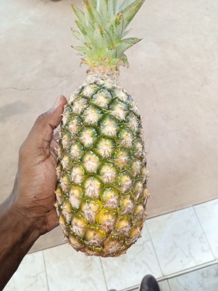 Ananas