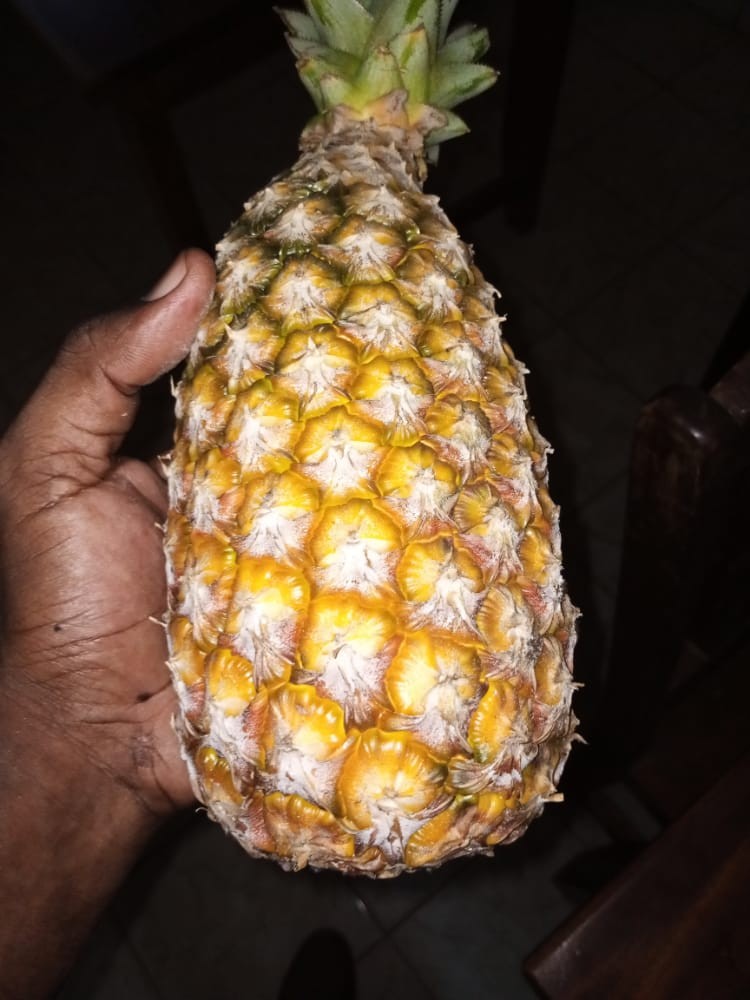 Ananas