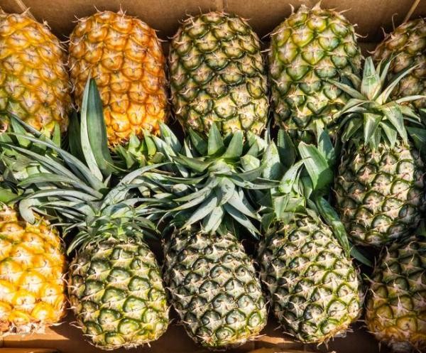 Soycain organic Ananas8 product